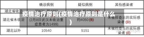 疫情治疗原则(疫情治疗原则是什么)-第2张图片