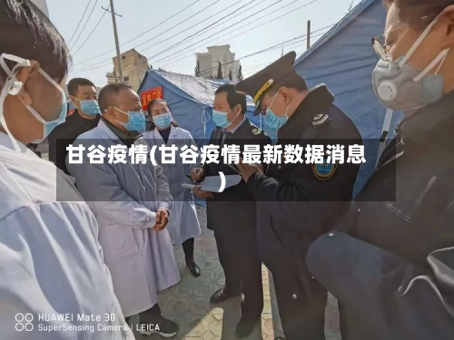 甘谷疫情(甘谷疫情最新数据消息)-第3张图片