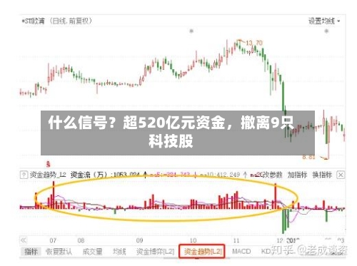 什么信号？超520亿元资金，撤离9只科技股