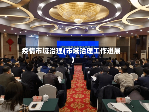 疫情市域治理(市域治理工作进展)-第2张图片