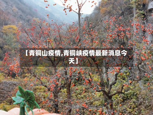 【青铜山疫情,青铜峡疫情最新消息今天】-第2张图片