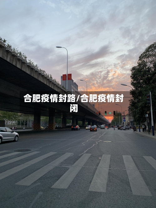 合肥疫情封路/合肥疫情封闭-第2张图片