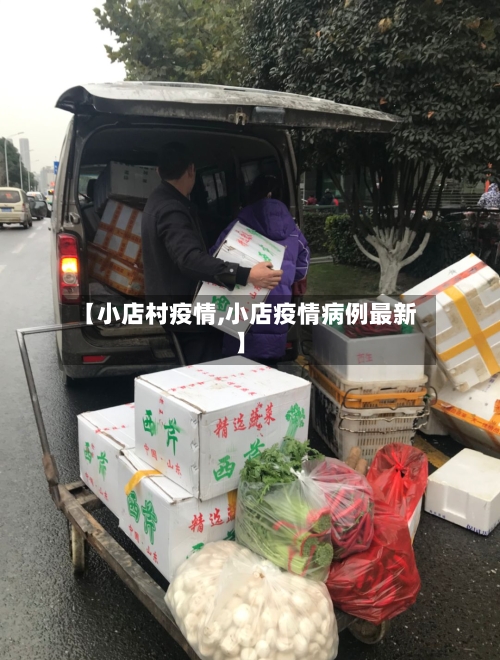【小店村疫情,小店疫情病例最新】-第3张图片