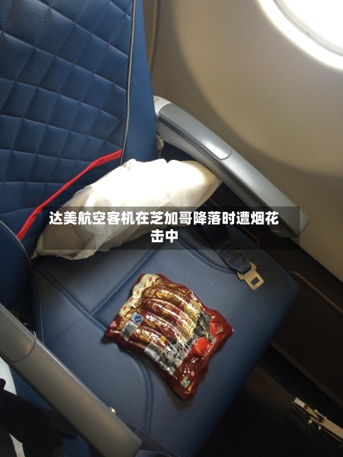 达美航空客机在芝加哥降落时遭烟花击中-第3张图片