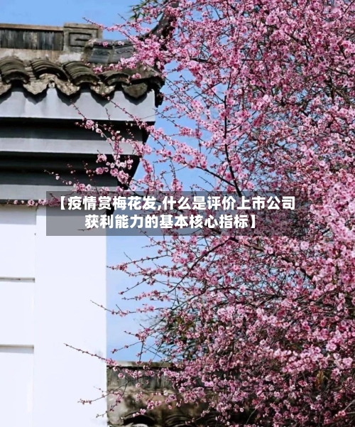 【疫情赏梅花发,什么是评价上市公司获利能力的基本核心指标】