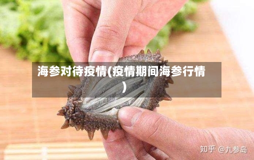 海参对待疫情(疫情期间海参行情)-第2张图片