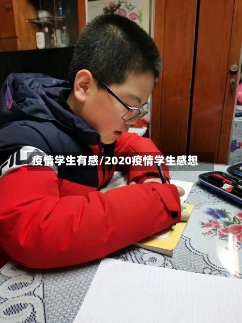 疫情学生有感/2020疫情学生感想