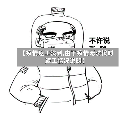 【疫情返工没到,由于疫情无法按时返工情况说明】-第3张图片