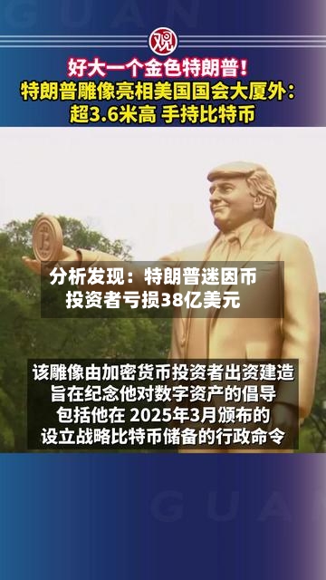 分析发现:特朗普迷因币投资者亏损38亿美元-第3张图片