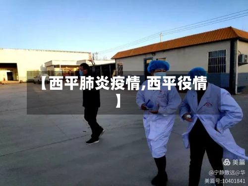 【西平肺炎疫情,西平役情】