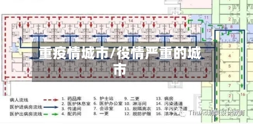 重疫情城市/役情严重的城市-第2张图片