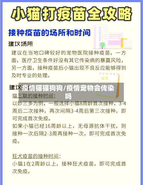 疫情猫猫狗狗/疫情宠物会传染吗