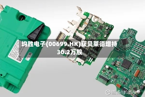 均胜电子(00699.HK)获贝莱德增持30.2万股