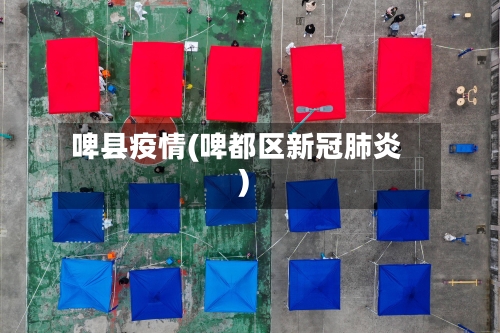 啤县疫情(啤都区新冠肺炎)-第3张图片