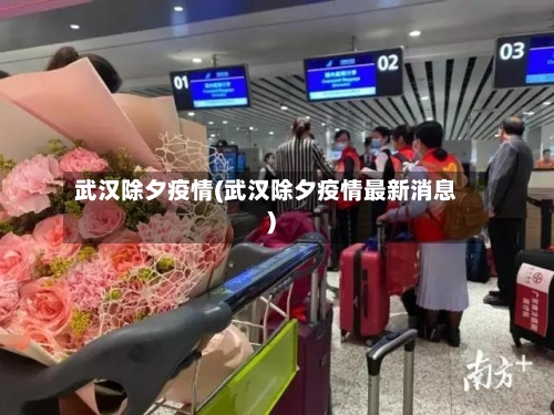武汉除夕疫情(武汉除夕疫情最新消息)-第2张图片