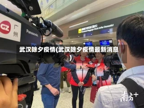 武汉除夕疫情(武汉除夕疫情最新消息)-第3张图片