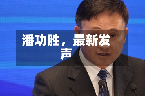 潘功胜，最新发声
