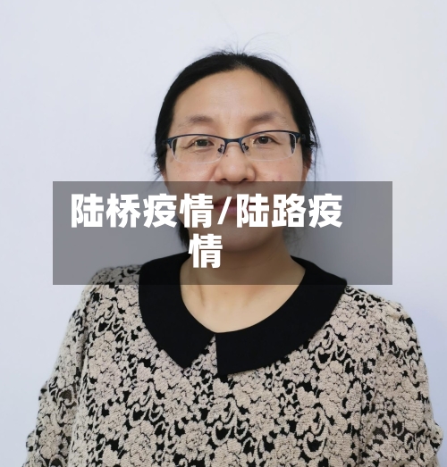 陆桥疫情/陆路疫情-第3张图片