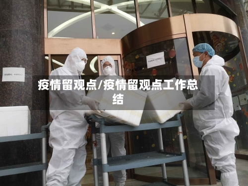 疫情留观点/疫情留观点工作总结