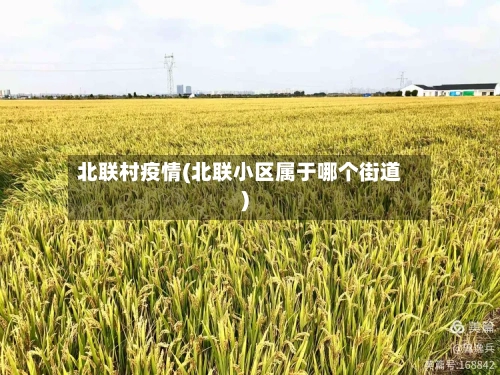 北联村疫情(北联小区属于哪个街道)
