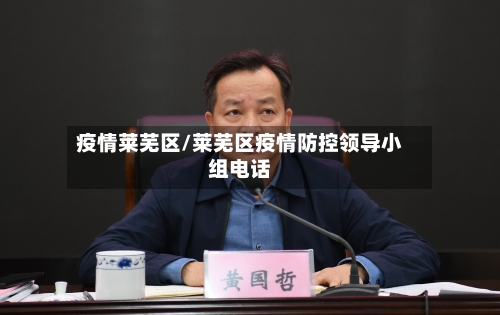 疫情莱芜区/莱芜区疫情防控领导小组电话-第2张图片