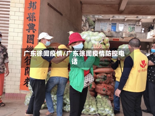 广东徐闻疫情/广东徐闻疫情防控电话-第2张图片