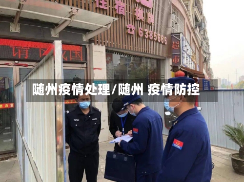 随州疫情处理/随州 疫情防控