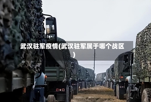 武汉驻军疫情(武汉驻军属于哪个战区)-第2张图片