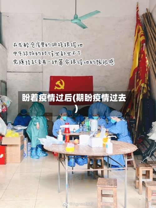 盼着疫情过后(期盼疫情过去)-第2张图片