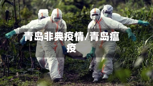 青岛非典疫情/青岛瘟疫