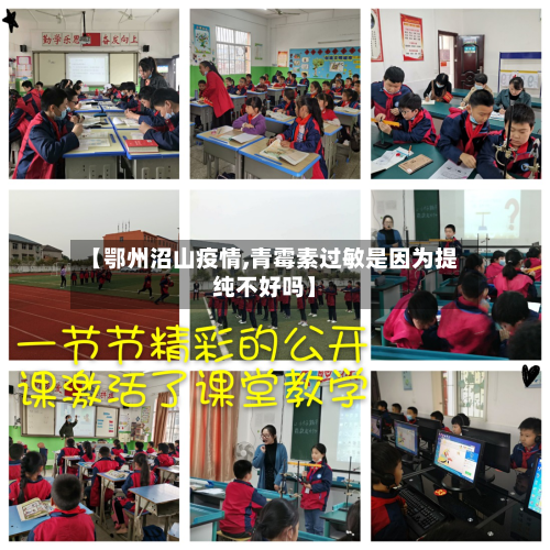 【鄂州沼山疫情,青霉素过敏是因为提纯不好吗】-第2张图片
