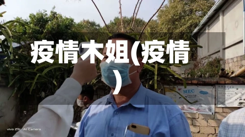 疫情木姐(疫情)