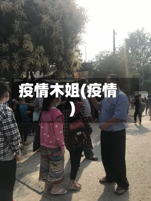 疫情木姐(疫情)-第2张图片