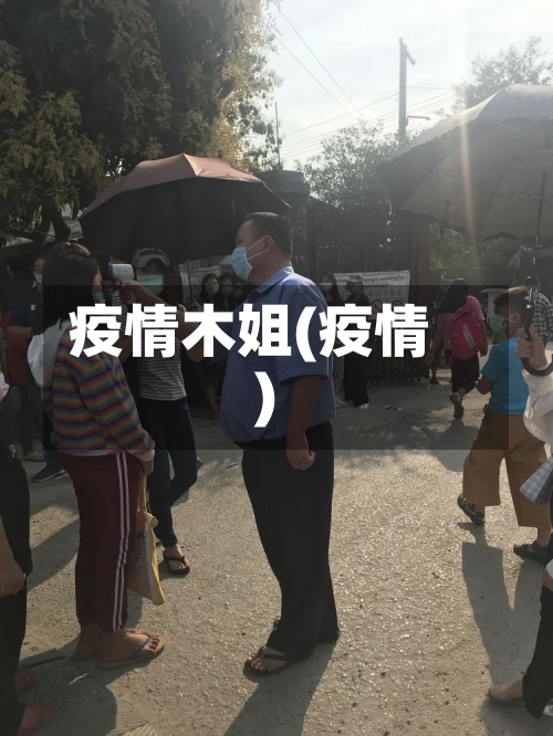 疫情木姐(疫情)-第3张图片