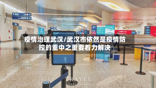 疫情治理武汉/武汉市依然是疫情防控的重中之重要着力解决-第3张图片