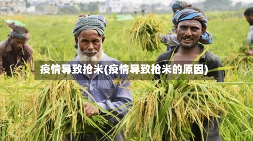 疫情导致抢米(疫情导致抢米的原因)