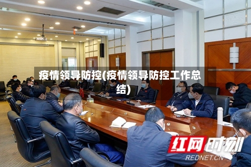 疫情领导防控(疫情领导防控工作总结)-第2张图片
