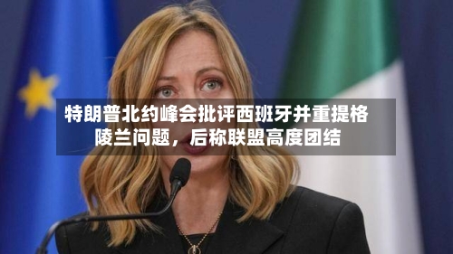 特朗普北约峰会批评西班牙并重提格陵兰问题，后称联盟高度团结