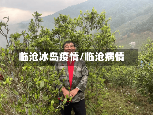 临沧冰岛疫情/临沧病情