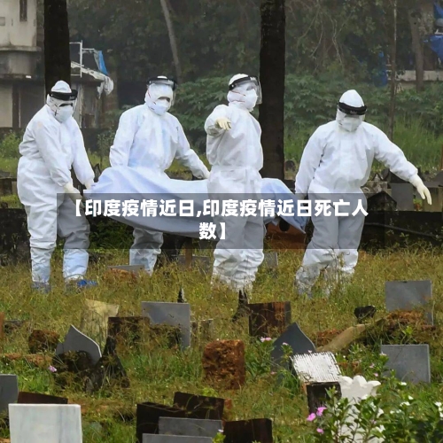 【印度疫情近日,印度疫情近日死亡人数】-第2张图片