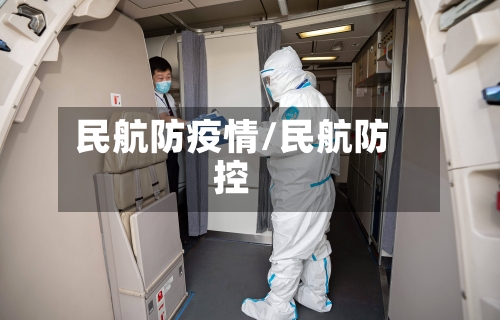 民航防疫情/民航防控