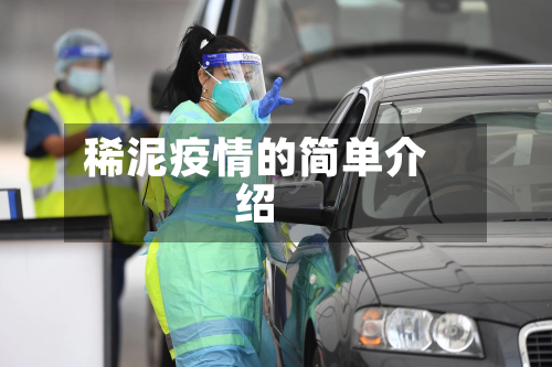 稀泥疫情的简单介绍