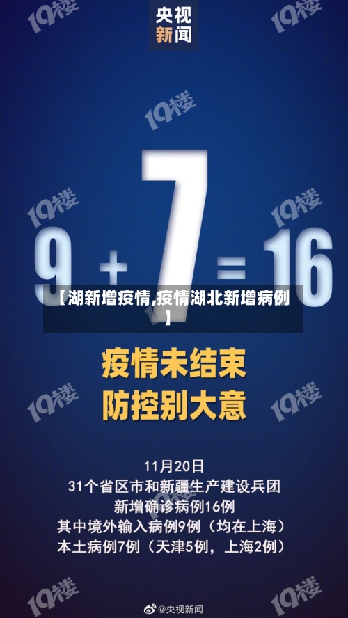 【湖新增疫情,疫情湖北新增病例】