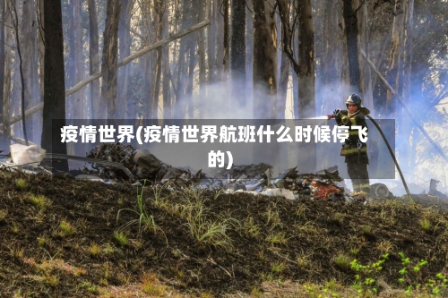 疫情世界(疫情世界航班什么时候停飞的)