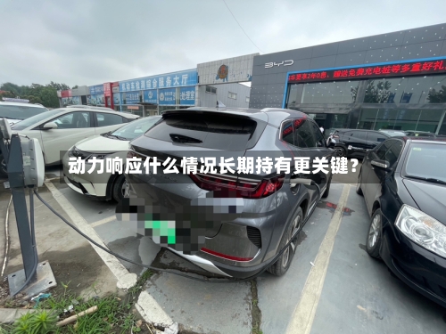 动力响应什么情况长期持有更关键？