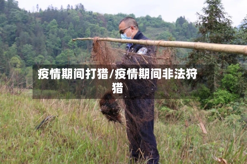 疫情期间打猎/疫情期间非法狩猎-第2张图片