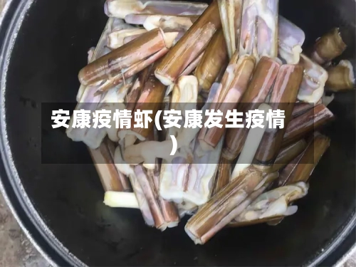 安康疫情虾(安康发生疫情)-第3张图片