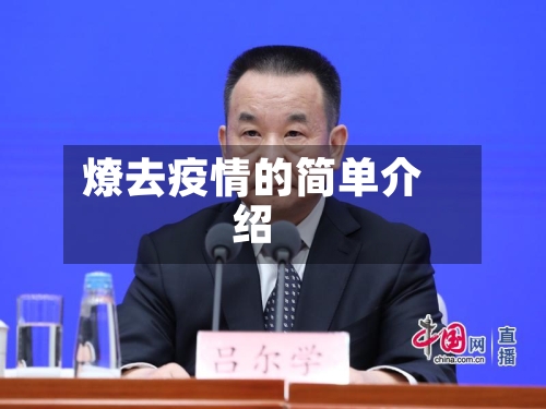 燎去疫情的简单介绍