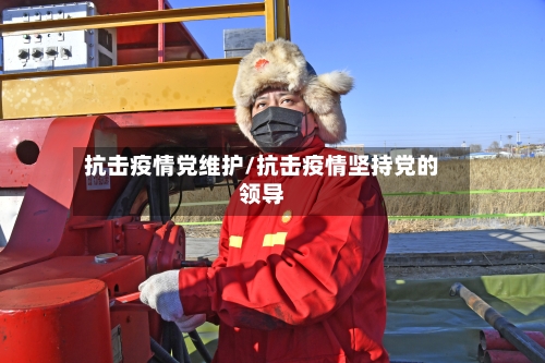 抗击疫情党维护/抗击疫情坚持党的领导-第3张图片