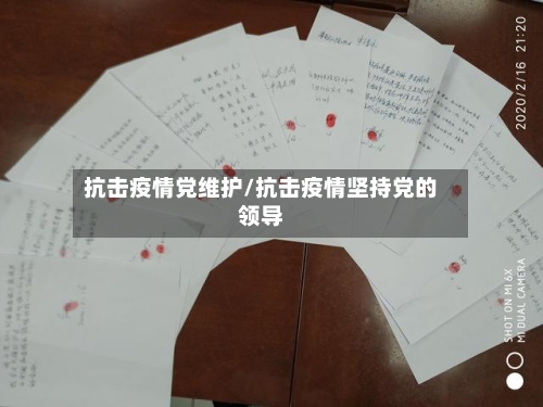 抗击疫情党维护/抗击疫情坚持党的领导-第2张图片